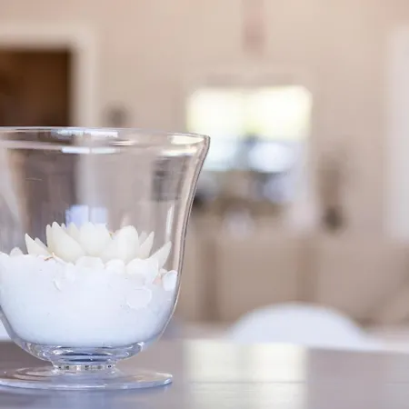 Excellent ゲストハウス